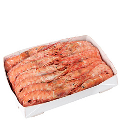 Лангустины креветка красная 20-30 свежемороженные L2 2 кг Аргентина